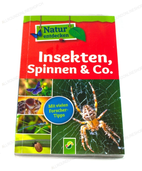 Natur entdecken: Insekten, Spinnen und Co.